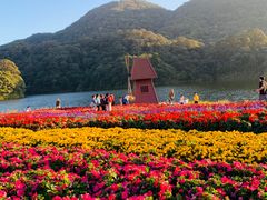 -广州市石门国家森林公园