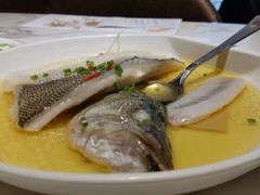 -阳光雷迪森广场酒店(中山东路店)