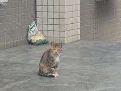 -长安大学(北校区)