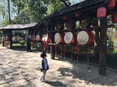 -合肥滨湖国家森林公园