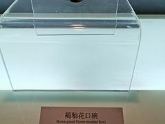 -衢州市博物馆
