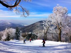 -中旅松花湖滑雪场