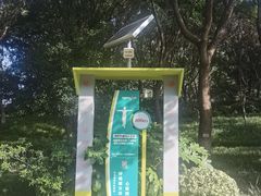 -青枫公园