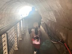 -白水寺森林公园