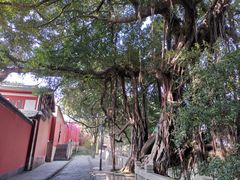 -乌山风景区