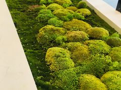 -喜茶(永旺梦乐城店)