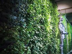 -春晖园度假酒店温泉