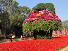 -东南花都花博园