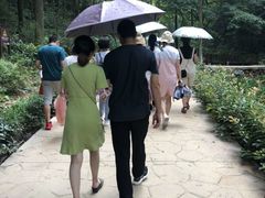 -石燕湖生态旅游景区