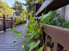 -长春市南湖公园