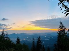-长虫山生态公园风景林