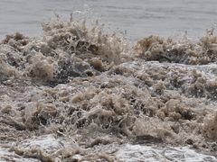 -观潮胜地公园