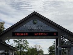 -碧峰峡风景区