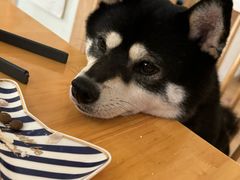 -柴の食堂·日式家庭料理·熊之肆(大学路店)