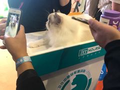 -东浩兰生上海世博展览馆