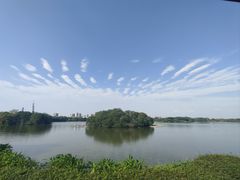 -海珠湖公园