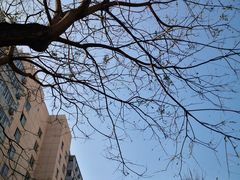 -益民餐厅(交通大学店)