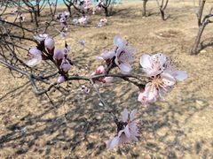 -太阳宫公园