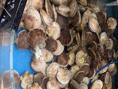 -鑫渔港海鲜本地菜·山海关浑锅(东戴河店)