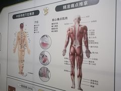 -通透堂中医·精准推拿(旗舰店)
