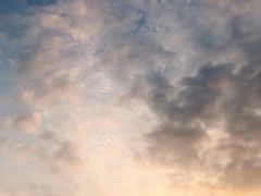 -瑶湖郊野森林公园