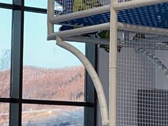 -中旅松花湖滑雪场