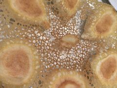 水煎包-良友·海鲜青岛菜(五四广场店)