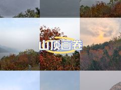 -北京中信金陵酒店