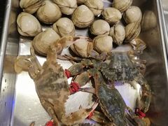 -鲜鲜·鲅鱼圈海鲜(于洪店)