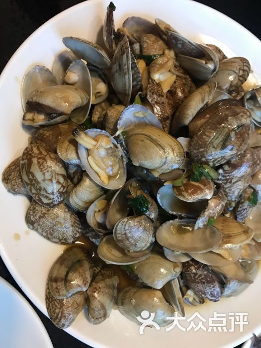 青岛海鲜花蛤图片 - 第12张