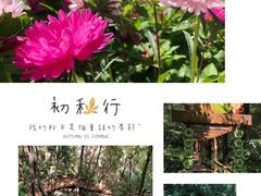 -大岭沟猕猴桃谷风景区
