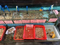 -荔城生鲜盛宴(番禺旗舰店)