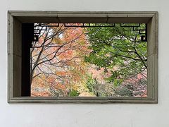 -秋霞圃