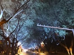 -禅驿嘉定院子-禅欢江景餐厅·中餐·户外烧烤定制(乐山大佛店)