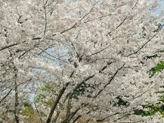 -白塘生态植物园