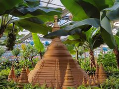 -南宫五洲植物乐园