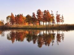 -贡湖湾湿地公园