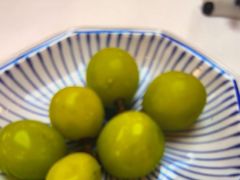 -眉州东坡(亚运村店)