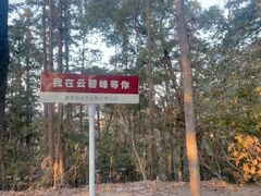 -云碧峰国家森林公园