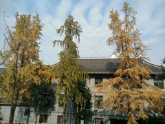 -四川大学(华西校区)