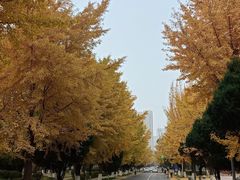-东北大学(南湖校区)