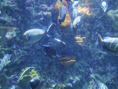 -海合安青岛极地海洋公园
