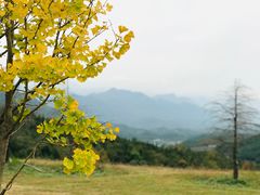 -窦圌山风景区