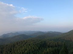 -武陵山森林公园
