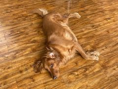 -兰纳泰式spa(古城店)