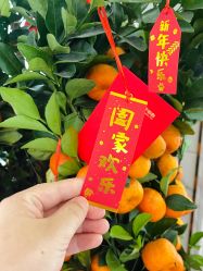 -梓爱月子中心(花都店)