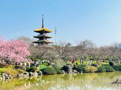 -东湖磨山景区