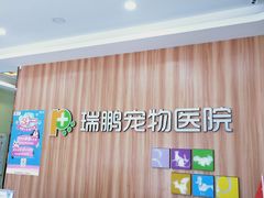 -瑞鹏宠物医院·骨科·猫科·内科(第一中心)