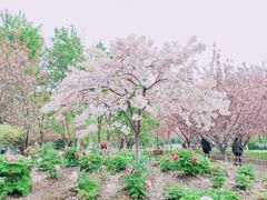 -江南大学(蠡湖校区)