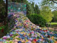 -上海共青森林公园